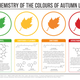 Illustration for article titled The Chemistry Behind The Brilliant Colors Of Autumn Leaves